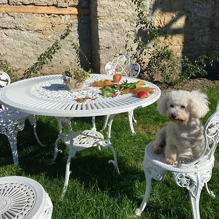 Appartement Modry Dom 2
